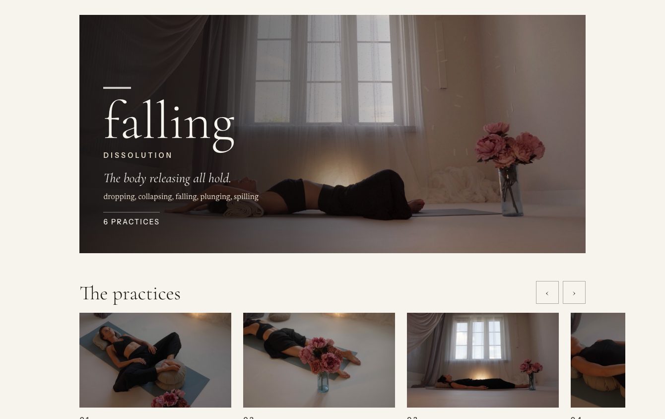 The library open on a laptop: the Falling rhythm, then its practices in a row, each with its image, name and description.